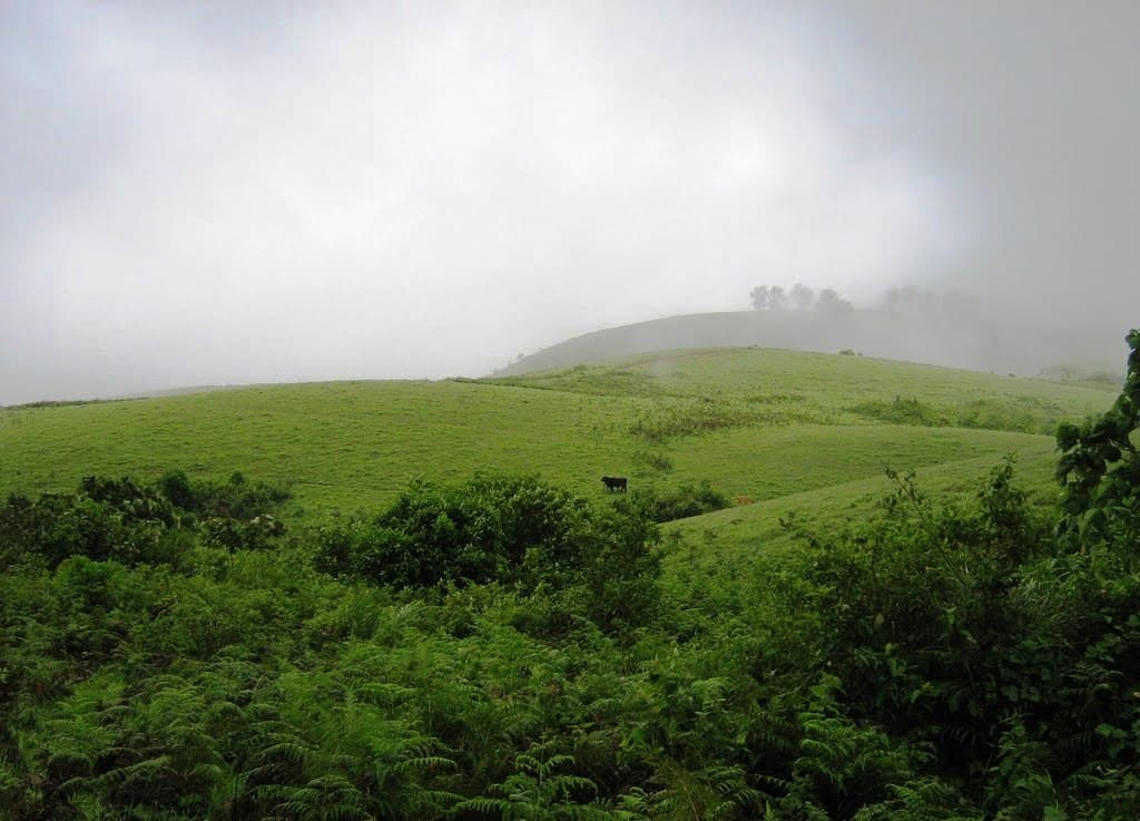 The rolling green meadows of Vagamon