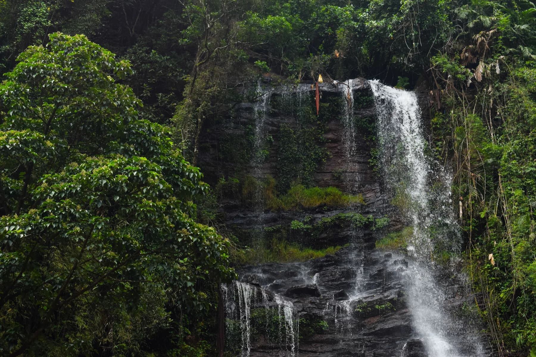 Scenic view of the Jhari Falls with green vegetation around in Chikmagalur Karnataka India
